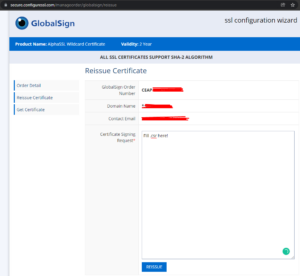 Example fill .csr file in Globalsign